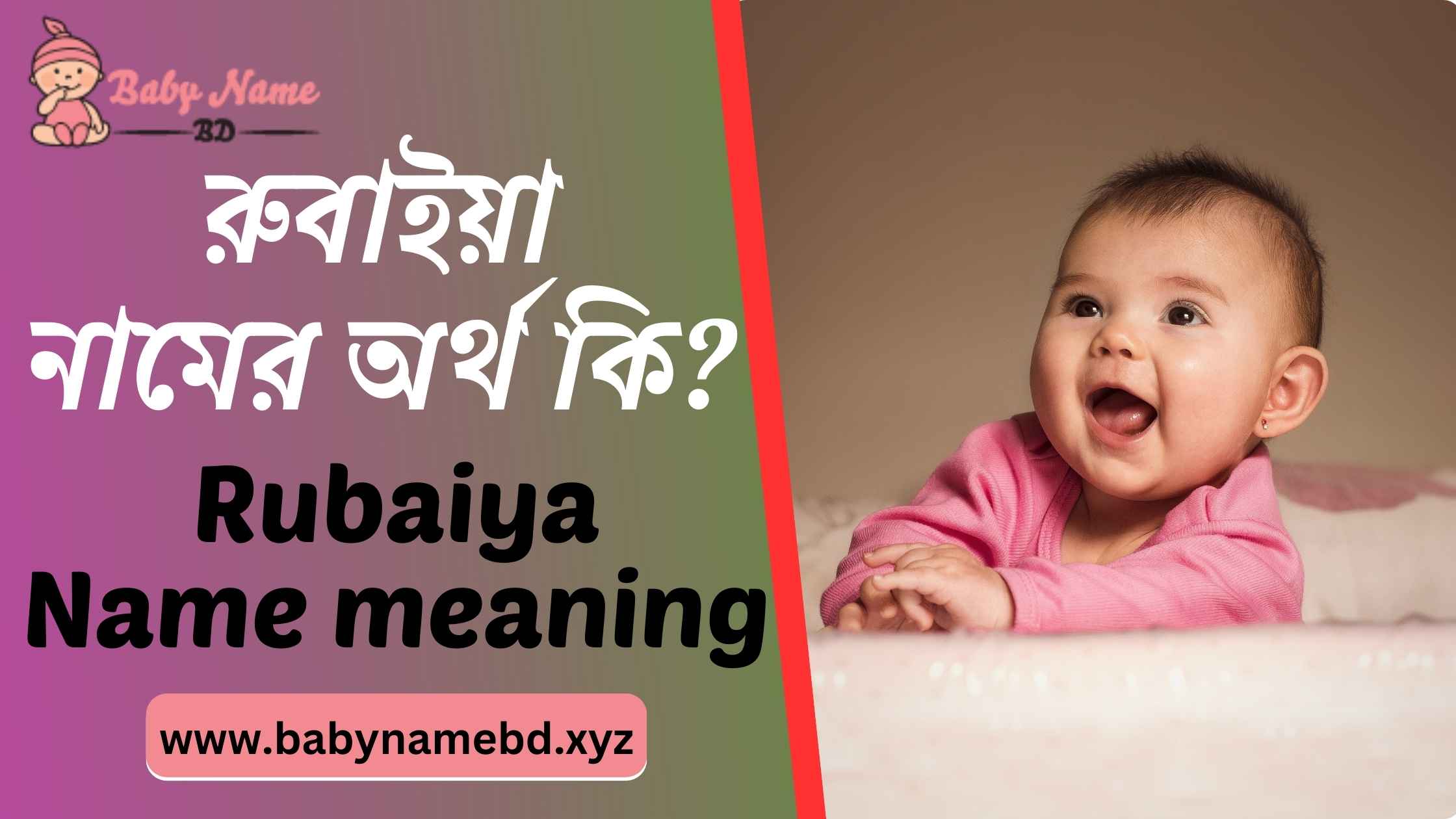রুবাইয়া নামের অর্থ কি Rubaiya Namer Bangla Ortho Ki